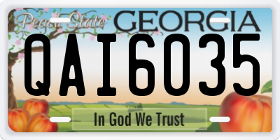 GA license plate QAI6035