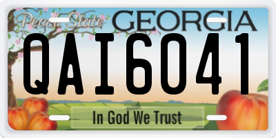 GA license plate QAI6041