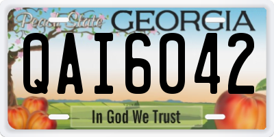 GA license plate QAI6042
