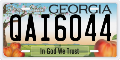 GA license plate QAI6044