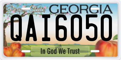 GA license plate QAI6050