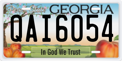 GA license plate QAI6054