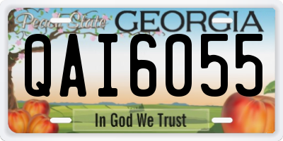 GA license plate QAI6055