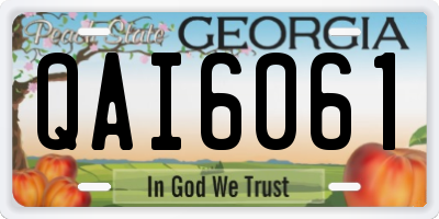 GA license plate QAI6061