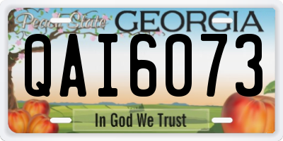 GA license plate QAI6073