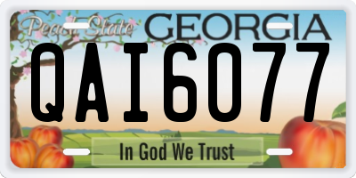 GA license plate QAI6077