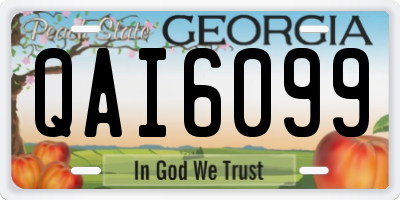 GA license plate QAI6099