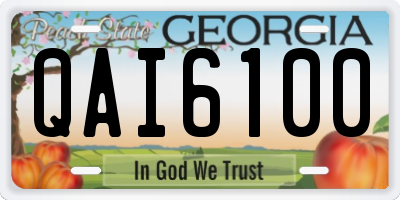 GA license plate QAI6100