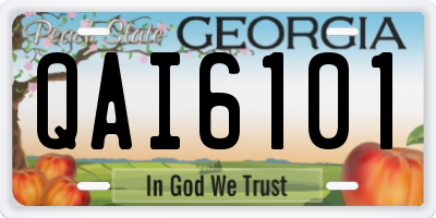 GA license plate QAI6101