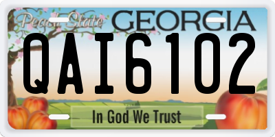 GA license plate QAI6102