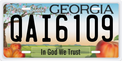 GA license plate QAI6109