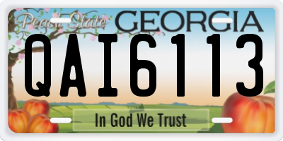 GA license plate QAI6113