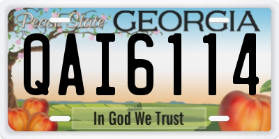 GA license plate QAI6114