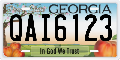 GA license plate QAI6123
