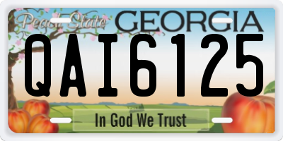 GA license plate QAI6125