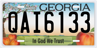 GA license plate QAI6133