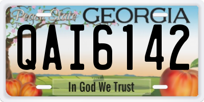 GA license plate QAI6142