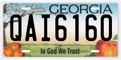 GA license plate QAI6160