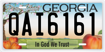GA license plate QAI6161