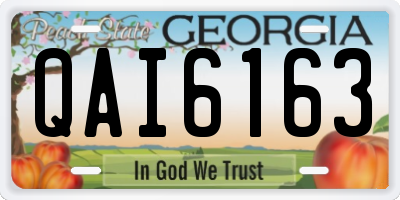 GA license plate QAI6163