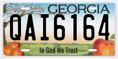GA license plate QAI6164