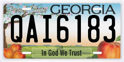 GA license plate QAI6183