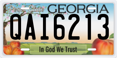 GA license plate QAI6213