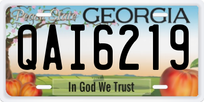 GA license plate QAI6219