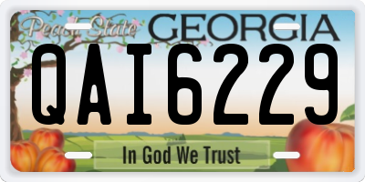 GA license plate QAI6229