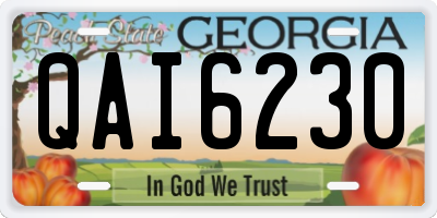 GA license plate QAI6230