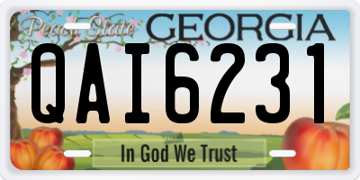 GA license plate QAI6231