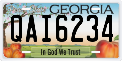 GA license plate QAI6234