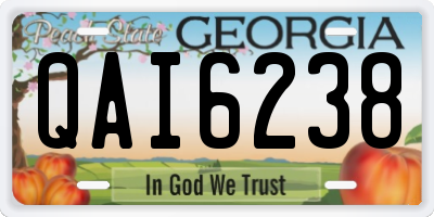 GA license plate QAI6238
