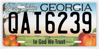 GA license plate QAI6239