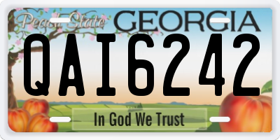 GA license plate QAI6242
