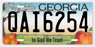GA license plate QAI6254