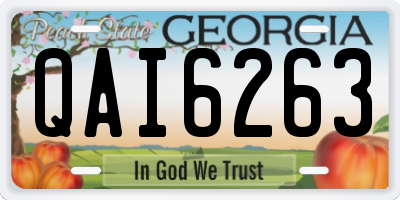 GA license plate QAI6263