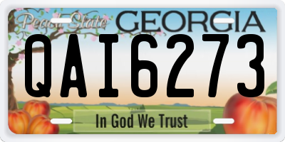 GA license plate QAI6273