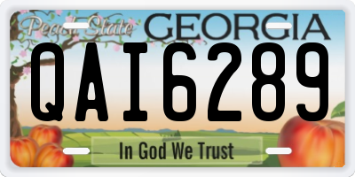 GA license plate QAI6289