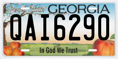 GA license plate QAI6290