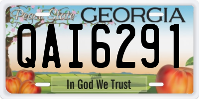 GA license plate QAI6291
