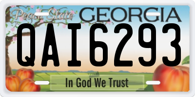 GA license plate QAI6293