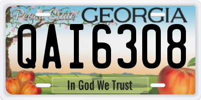 GA license plate QAI6308