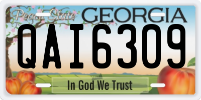GA license plate QAI6309