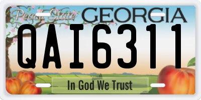 GA license plate QAI6311