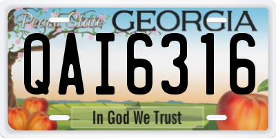 GA license plate QAI6316
