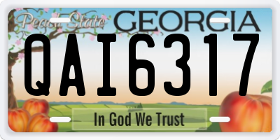 GA license plate QAI6317