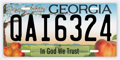 GA license plate QAI6324