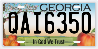 GA license plate QAI6350