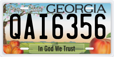 GA license plate QAI6356